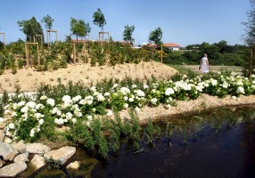 80 photos de la nouvelle Ria de Pornic