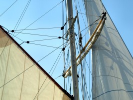 Le Port de Pornic, un jour de Fte de la Mer - auteur : Poissonneries Bacconnais