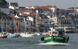 Le Port de Pornic, un jour de Fte de la Mer - auteur : Poissonneries Bacconnais