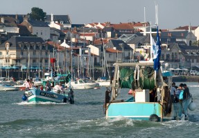 Le Port de Pornic, un jour de Fte de la Mer - auteur : Poissonneries Bacconnais