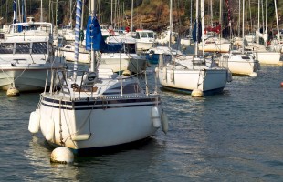 Le Port de Pornic, un jour de Fte de la Mer - auteur : Poissonneries Bacconnais