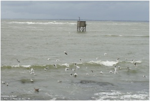 Balade  La Pre - La Plaine sur Mer