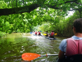 Les nouvelles balades de Kayak Nomade