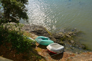 De l'autre ct du Vieux-Port de Pornic - auteur : Poissonneries Bacconnais