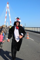 Tous sur le Pont de Saint Nazaire - auteur : Mairie de Saint Brevin les Pins