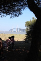 Tous sur le Pont de Saint Nazaire