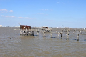 Tous sur le Pont de Saint Nazaire - auteur : Mairie de Saint Brevin les Pins