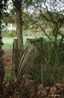 Le Chteau de la Tocnaye en automne