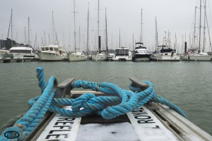 Voile blanc sur Noveillard