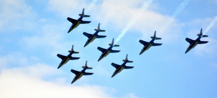 La Patrouille de France ! Que la Patrouille de France ! - auteur : Poissonneries Bacconnais