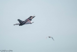 Le meeting arien  Pornic avec la Patrouille de France - auteur : Wilfried Plenk