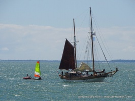 Pornic Voiles de Tradition 2018 - auteur : Framboise