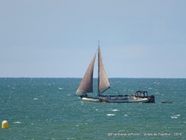 Pornic Voiles de Tradition 2018 - auteur : Framboise