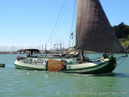 Pornic Voiles de Tradition 2018 - auteur : Framboise