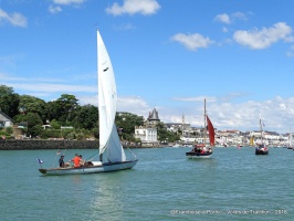 Pornic Voiles de Tradition 2018 - auteur : Framboise