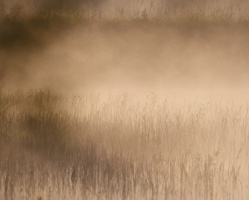 Etang du Gros Caillou  Pornic - auteur : Alain Barr