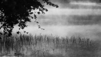 Etang du Gros Caillou  Pornic - auteur : Alain Barr