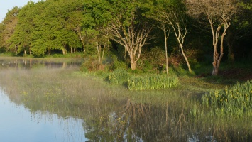 Etang du Gros Caillou  Pornic