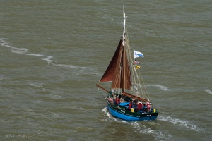  Dbord de Loire avec L'Hermione et le Belem - auteur : Michel MAURICE