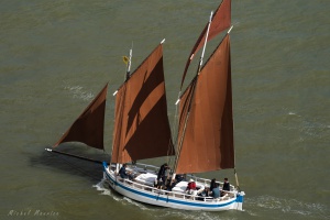  Dbord de Loire avec L'Hermione et le Belem - auteur : Michel MAURICE