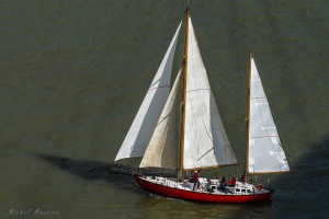  Dbord de Loire avec L'Hermione et le Belem - auteur : Michel MAURICE