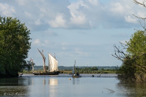  Dbord de Loire avec L'Hermione et le Belem