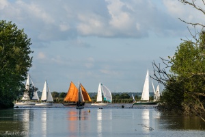  Dbord de Loire avec L'Hermione et le Belem - auteur : Michel MAURICE