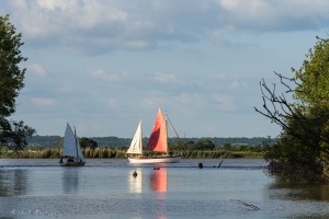  Dbord de Loire avec L'Hermione et le Belem