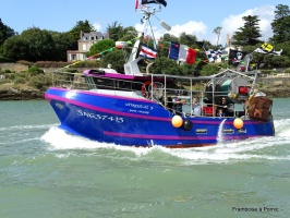 Fte de la Mer  Pornic par Framboise