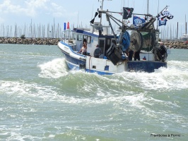 Fte de la Mer  Pornic par Framboise - auteur : Framboise