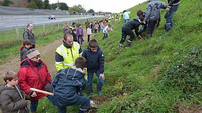 Pornic - 26/11/2013 - Saint brevin : plus de 200 arbres plants par les coliers 