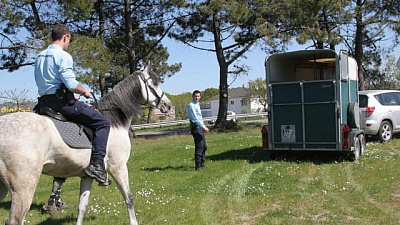 Pornic - 17/04/2014 - Route bleue. Le cheval paniqu remonte 6 km  contre-sens