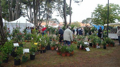 Pornic - 08/05/2014 -  Rve de jardin  : 12e dition de la fte des plantes le 8 mai