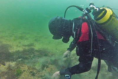 Pornic - 21/10/2014 - Une illustre frgate retrouve dans le baie de Bourgneuf aprs deux sicles