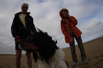 Pornic - 24/07/2015 - Les animaux pas bienvenus sur les plages de la Cte de Jade