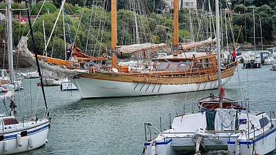 Pornic - 12/08/2015 - Photos :  Les voiles de tradition  Pornic, par Alain Barr