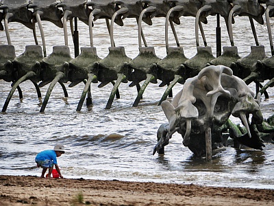 Pornic - 19/08/2015 - Photos : Le serpent de mer de St-Brvin 