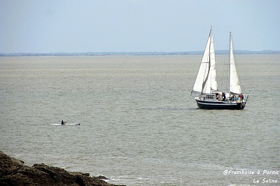 Pornic - 03/09/2015 - Photos : Pornic, le SALINA 