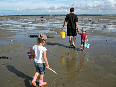 Pornic - 08/09/2015 - La Plaine-sur-Mer : la pche aux moules et aux hutres interdite 