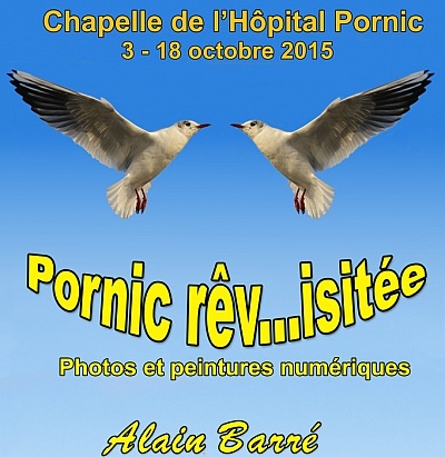 Pornic - 16/09/2015 - Expo PORNIC rv...isite, le carnaval 