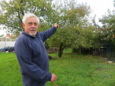 Pornic - 09/10/2015 - Pornic : Jean Auffray et la passion des abeilles