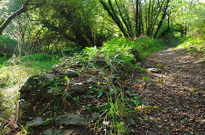 Pornic - 12/10/2015 - Photos : Chemins boiss du Portmain... le 11 octobre 2015