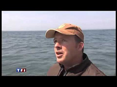 Pornic - 05/02/2016 - TF1, Vido : reportage Pche au bar  Pornic 