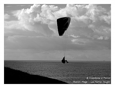 Pornic - 24/03/2016 - Photos : Tharon plage - Fais comme l`oiseau 