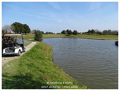 Pornic - 28/03/2016 - Photos : Golf de Pornic - Printemps 2016