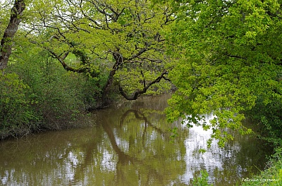 Pornic - 26/04/2016 - Photos : Le Canal de Haute Perche, par P. Lormeau