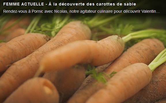 Pornic - 15/06/2017 - Vido : Tout savoir sur la carottes de sables  Pornic