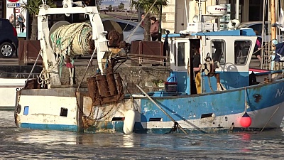 Pornic - 05/02/2018 - Vido : la pche  la civelle dans le port de Pornic